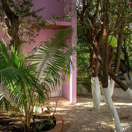 הוילה טולום Casa Rosse מראה חיצוני תמונה